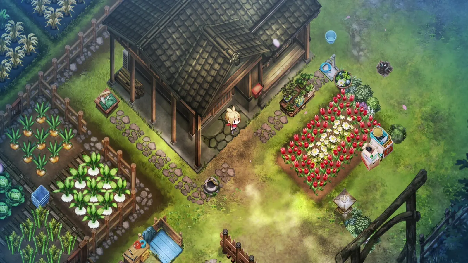 Thatched house with neat vegetable beds and a dirt yard