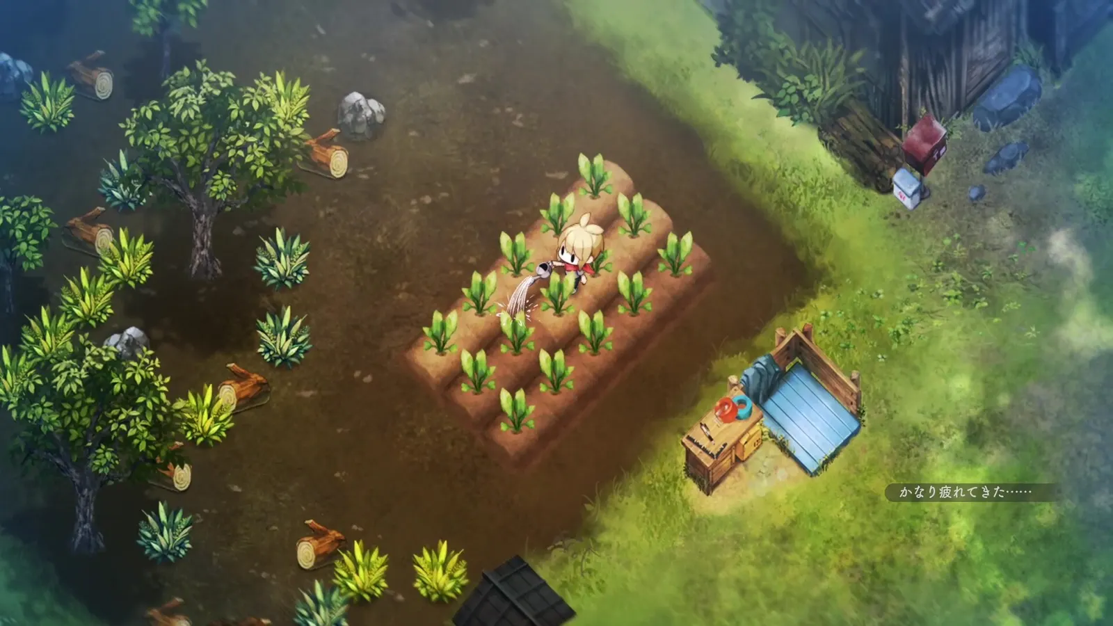 Tilled field, water trough, and fruit trees on a village plot